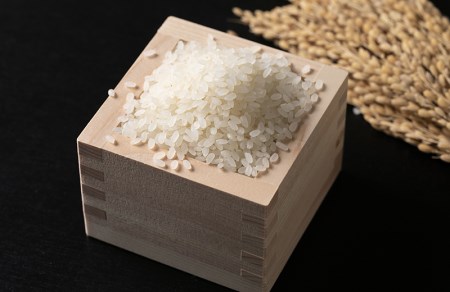 ハツシモ10kg　～水の都大垣の豊富な湧き水で育ったお米 ～