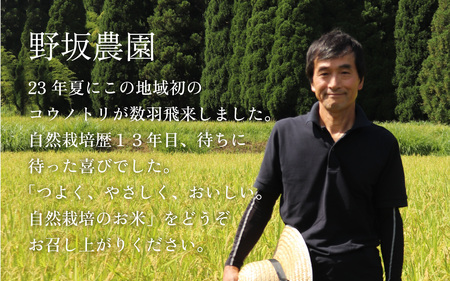 【先行予約】【令和6年産 新米】自然栽培米 永平寺町産 コシヒカリ 【玄米】5kg 無農薬 化学肥料 除草剤 不使用 福井県 永平寺