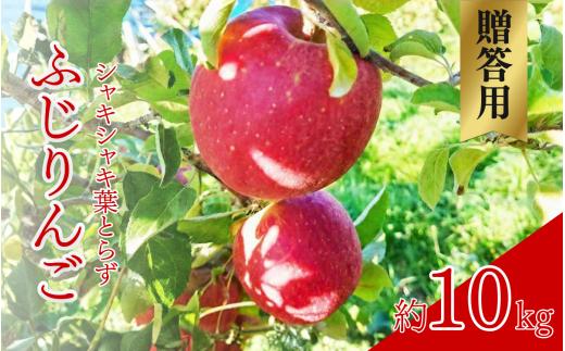 
                  【2026年産】 シャキシャキ葉とらず ふじりんご 約10kg 特別栽培農産物 長野県産 りんご リンゴ フルーツ 果物 おやつ デザート 信州 上田 贈答用 [№5312-1523]
                