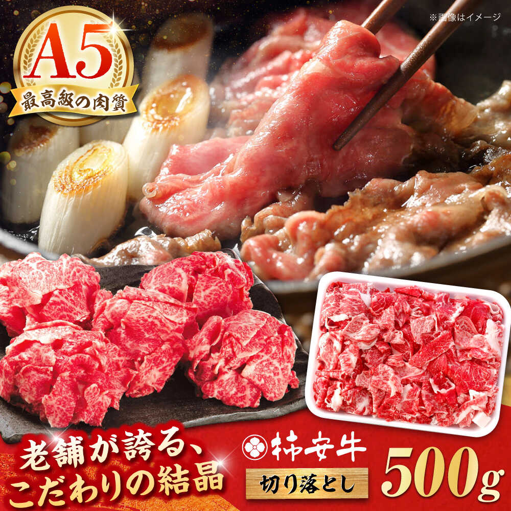 【ふるさと納税】 最高級A5等級 三重県産 黒毛和牛 柿安牛 切り落とし 500g / A5 国産牛 ブランド牛 牛肉 冷蔵 / 亀山市 / 柿安本店 [AMBW001]