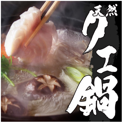 
            天然クエ鍋セット 肉厚&コラーゲンたっぷり＜2人前相当＞【1275188】
          