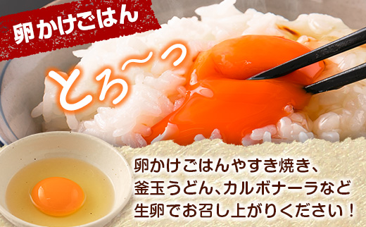 新鮮 たまご 30個×3か月 定期便 児湯の赤卵 小分け 3パック 卵 鶏卵 玉子 たまごかけご飯 お取り寄せ 小分け 生卵 濃厚 玉子（※2026年9月、10月、11月配送）【C464-091011