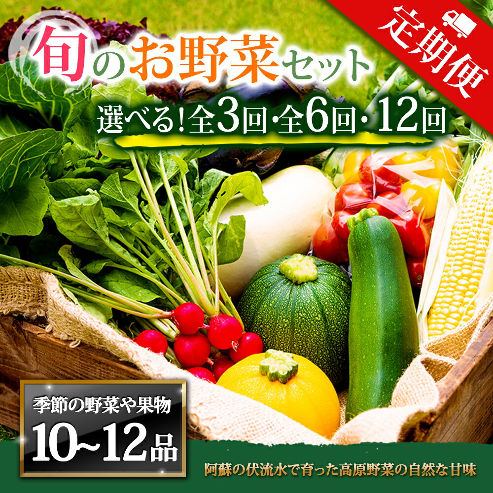 【ふるさと納税】【定期便】畑から直送 季節のお野菜セット XLサイズ 3回 6回 12回 定期便 野菜 10〜12品 定期便 ふるさと納税 全6回 全12回 詰め合わせ セット 新鮮 減農薬 高原 旬 産地直送 野菜 果物 フルーツ 採れたて 甘い 美味しい 人気 安心 安全 熊本県 阿蘇市
