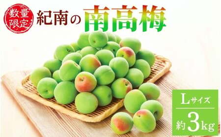 【2025年分予約】紀南の南高梅（Lサイズ）約3kg※2025年5月下旬～6月中旬頃順次発送予定 / 田辺市 果物 果実 くだもの かじつ 梅 青梅 生梅 梅干し うめぼし 梅酒 梅ジュース 梅シロップ 手作り 自家製 新鮮 【okw002】