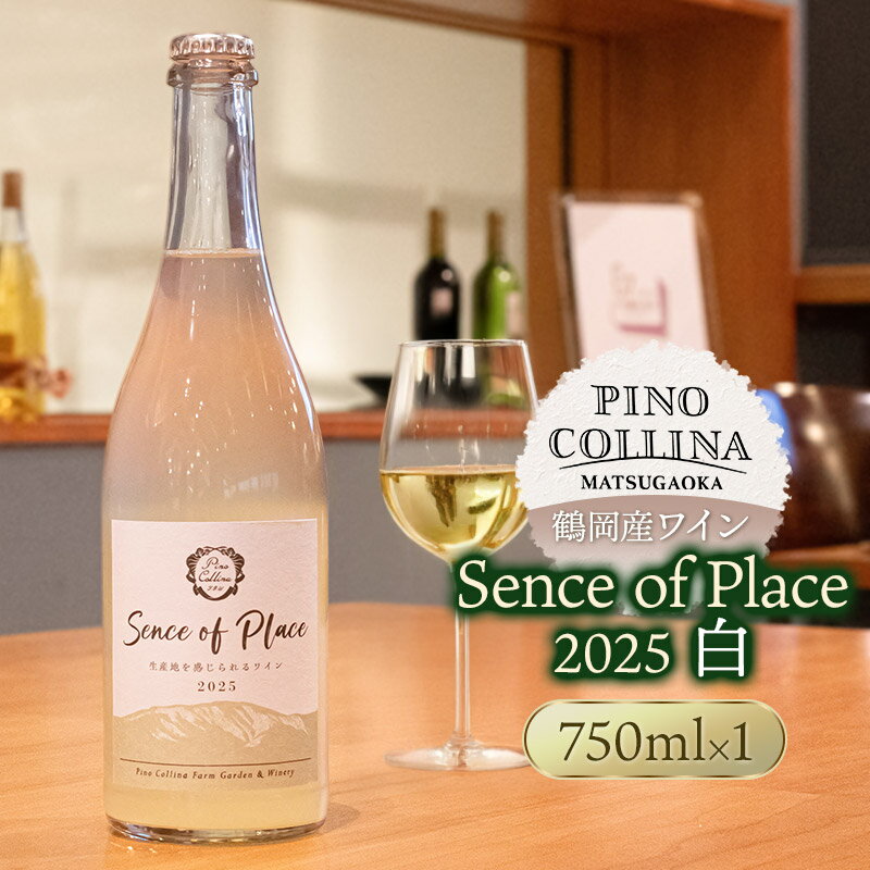 【ふるさと納税】鶴岡産赤ワイン　Sence of Place 2025（白） 750ml×1本　株式会社エルサン　ワイナリー ピノコッリーナ