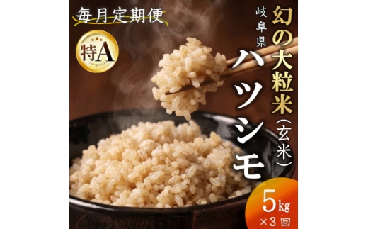 【毎月定期便】岐阜県産ハツシモ(玄米)5kg全3回【4091605】