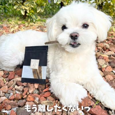 ふるさと納税 南アルプス市 デンタルケアに天然鹿の皮ガムセット小型犬用【皮ガム10cm20g×3袋セット】 |  | 03