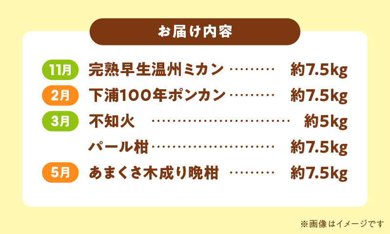 S040-T04_【定期便5回】天草 下浦地区特産の柑橘5種満喫セット(訳あり）【先行受付】