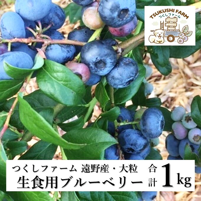 【ふるさと納税】ブルーベリー 500g × 2 パック 合計 1kg 完熟 生 大粒 果実 つくしファーム 生食用 先行予約 国産 岩手県 遠野市 産 栽培期間中 農薬不使用 摘みたて フレッシュ 新鮮 小分け アントシアニン ポリフェノール ジャム スムージー デザート 送料無料
