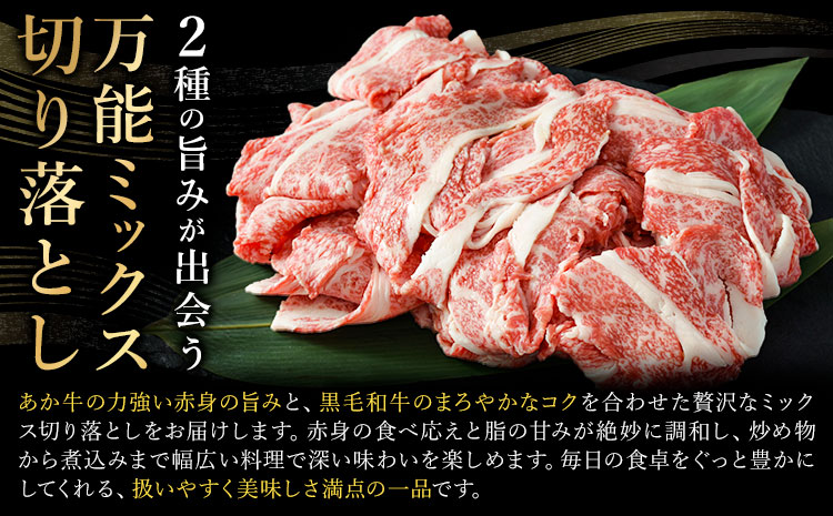 あか牛＆黒毛和牛ミックス牛肉切り落とし 500g 熊本県畜産農業協同組合《60日以内に出荷予定(土日祝除く)》熊本県 産山村 くまもとあか牛 くまもと黒毛和牛 切り落とし 牛肉 肉 熊本県産 和牛 あ