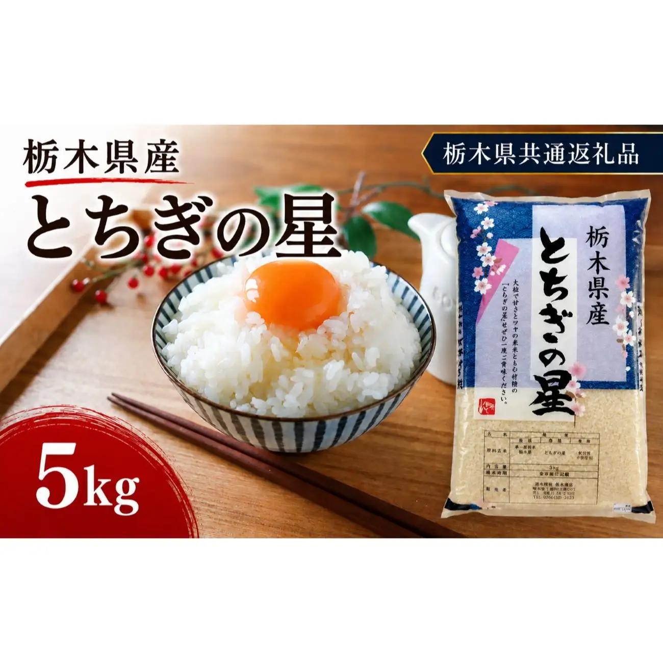 栃木県産 お米 白米 とちぎの星 5kg | 栃木県 矢板市　栃木県共通返礼品