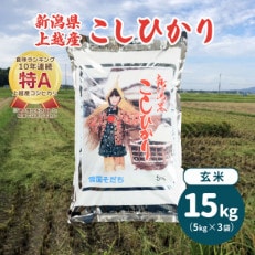 令和5年産・新潟県上越産/コシヒカリ 玄米 15kg(5kg×3)|美味安全野菜栽培士が栽培したお米