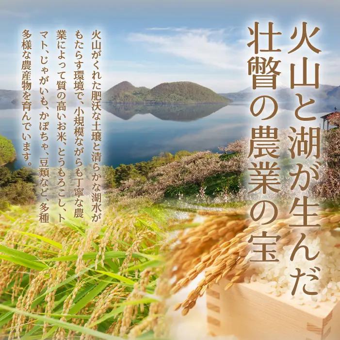 【令和7年産 6ヶ月定期配送】（玄米6kg）ホクレンゆめぴりか（3kg×2袋） SBTD075