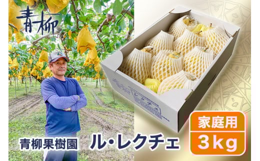【2025年先行予約】新潟特産 幻の洋梨ル・レクチェ 家庭用 3kg（7〜9玉）〈11月下旬～順次出荷〉 ルレクチェ ル・レクチエ ルレクチエ 西洋梨 新潟県 新潟産 果物 フルーツ 冬の味覚 産地直送加茂市 青柳果樹園