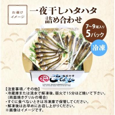 ふるさと納税 越前町 【のし付】【越前海岸・美味直送シリーズ】一夜干しハタハタ詰合わせ(7〜9尾入り5パック) |  | 03