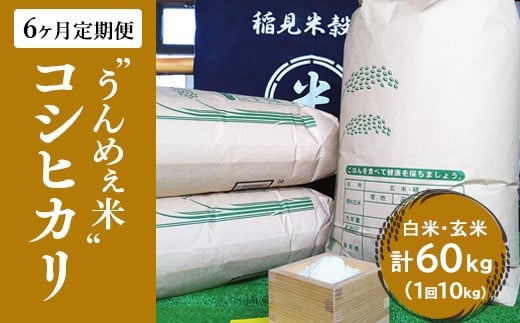 【白米】【6ヶ月定期便】栃木県上三川町産コシヒカリ (10kg×1袋)  | 国産 栃木県産 コシヒカリ 米 お米 単一原料米 精米 白米 玄米 栃木米 とちぎ米 産地直送 ※2025年10月より順次発送予定