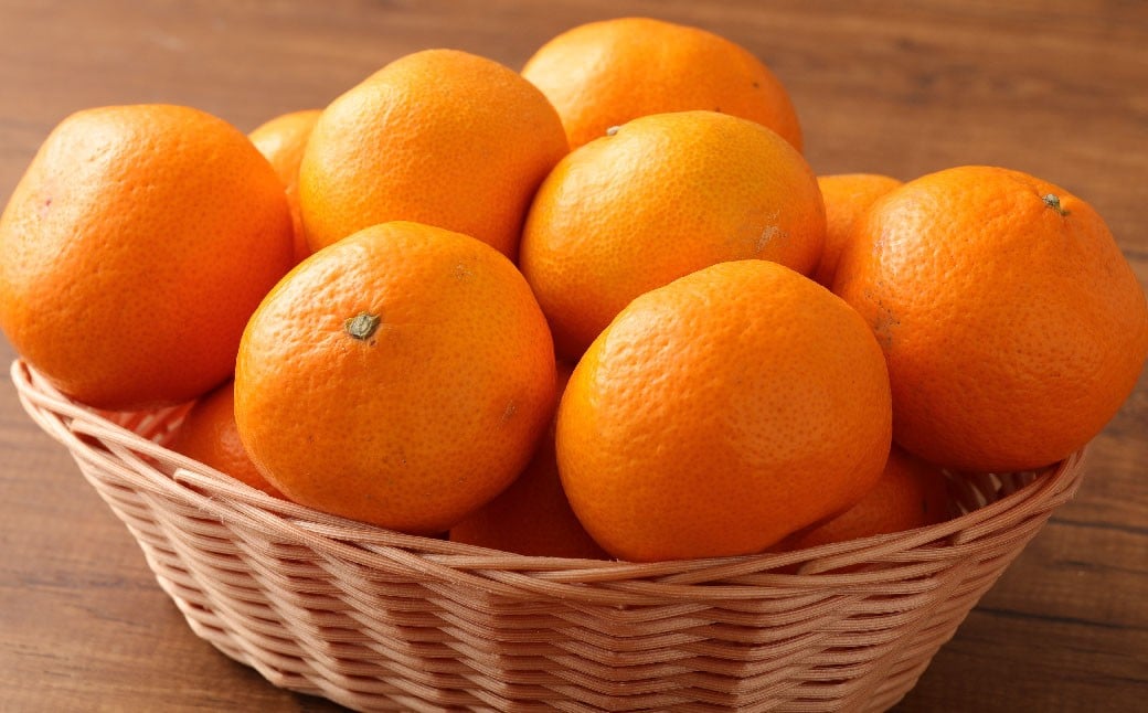 特選 みかん 5kg 糖度保証 12度！