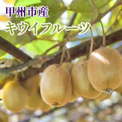 ふるさと納税 甲州市 キウイフルーツ　1kg程度
