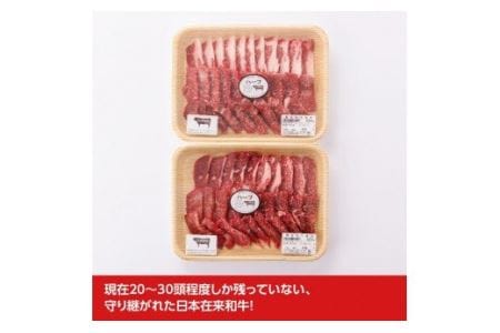 いぶさな牛 牛肉焼肉用　800g【肉 牛肉 国産 和牛 いぶさな牛 焼肉 バーベキュー 牛肉】