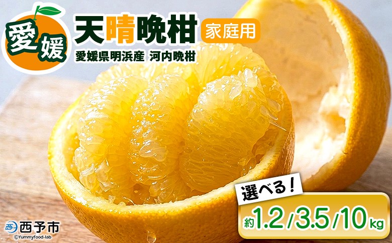 
                  【先行予約】＜天晴晩柑（河内晩柑）家庭用 約1.2kg／3.5kg／10kg 全て ＋300g ＞『2027年4月上旬～5月下旬迄に順次出荷予定』選べる 内容量 感謝企画 訳アリ 訳あり 果物 柑橘 みかん 和製 グレープフルーツ 食べて応援 特産品 株式会社笑丸 愛媛県明浜産 愛媛県 西予市【常温】
                