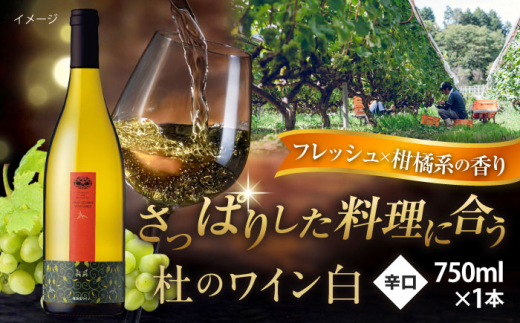 ワイン 奥出雲葡萄園 杜のワイン白   国産 ワイン セット 白ワイン 1本 単品 750ml やや甘口 スッキリ 飲みやすい お酒 酒 アルコール 日本ワイン 国産ワイン 地ワイン お取り寄せ 贈り物 プレゼント お祝い 誕生日 記念日 パーティー 人気 おすすめ 送料無料 冷酒 奥出雲 晩酌 家飲み ホームパーティー 女子会 島根県雲南市/有限会社奥出雲葡萄園 [AICS051]
