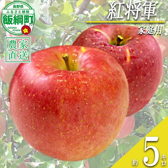 【ふるさと納税】 りんご 紅将軍 家庭用 5kg 永野農園 沖縄県への配送不可 令和8年度収穫分 長野県 飯綱町 〔 信州 果物 フルーツ リンゴ 林檎 長野 予約 農家直送 16000円 〕発送時期：2026年9月下旬〜2026年10月上旬