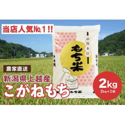 ブランドもち米「 こがねもち 」令和6年産 新潟県産／【精米2kg×1袋】 コガネモチ 米 お米 こめ新潟 上越