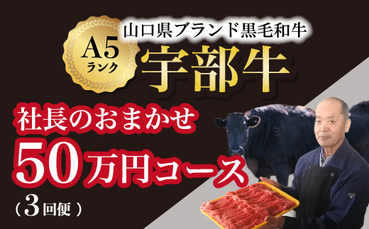 牛肉 【山口宇部牛】社長おまかせプレミアム定期便【３回便】＜５０万円コース＞黒毛和牛Ａ５ランク宇部牛 【牛肉 ぎゅうにく ギュウニク 宇部牛 山口県 社長おまかせプレミアム定期便 50万円コース 黒毛和牛 A5ランク 宇部の特産品 ストレスフリー育成 上質な肉質 関東の銘店 高級肉 特選肉 定期購入 肉のプレゼント 飲食店の指名品 安心安全な肉 プレミアム肉】[BTAJ018]
