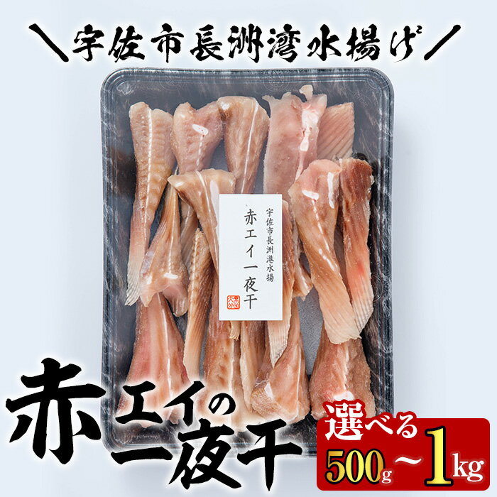 【ふるさと納税】＜選べる内容量＞長洲赤エイの一夜干(500g・計1kg)おつまみ 干物 乾物【114300200・114300100】【豊永長六商店】