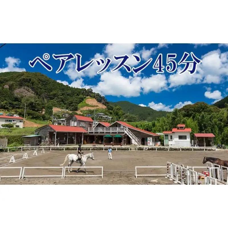 乗馬体験 伊豆 ペアレッスン 45分 天城 子供 大人 乗馬体験