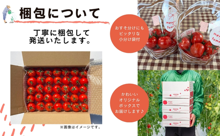 【訳あり】めんごいとまと TYレッドオーレ お徳用 1kg めんごいとまとたむら アイメック栽培 ミニトマト トマト プチトマト 冬トマト 野菜 農家直送 大容量 家庭用 不揃い 小粒 新鮮 福島県 