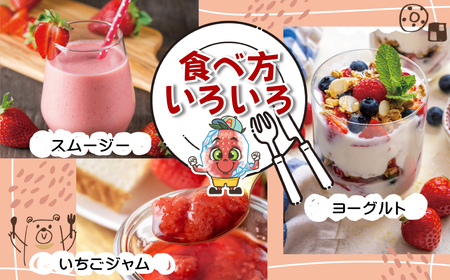 冷凍 あまおう カチカチ君 (1kg×2袋)  冷凍あまおう いちご 苺 冷凍いちご 3W14