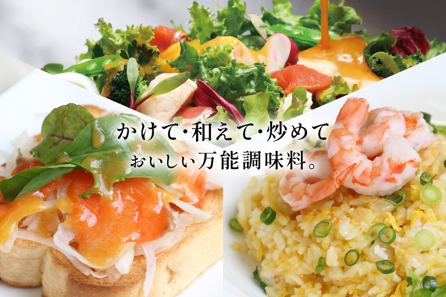 リッチ スタイル ドレッシング にんじん 3本 セット [セゾンファクトリー 山形県 高畠町 tk06ays740013] 和風 和風ドレッシング 人参 すりおろし ボトル クリーミー 調味料