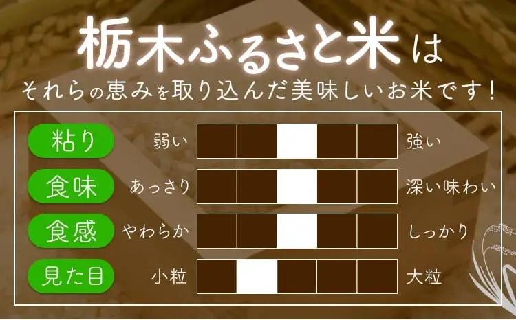 【6ヶ月定期便】米 栃木県産 コシヒカリ 白米 10kg《お申込み翌月から出荷》栃木県 野木町 米 白米 精米 国産 お米 おこめ お弁当 おにぎり【栃木県共通返礼品】