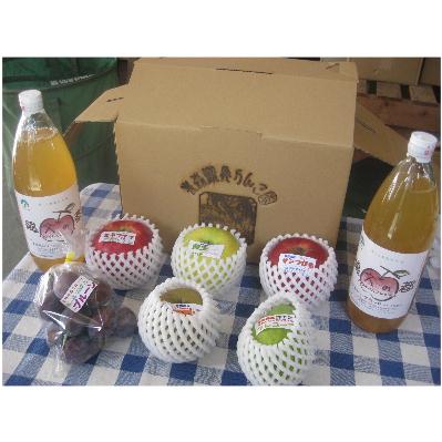 ふるさと納税 青森市 【2025年11月〜2026年3月発送】季節のフルーツセット(約5kg) |  | 03