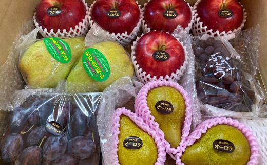 8-016-004　山口さんちの旬なフルーツ詰合わせ【10月～発送】