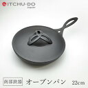 【ふるさと納税】鉄分補給に最適 南部鉄器 オーブンパン 22cm【直火対応】【IH200V対応】　【雑貨・日用品・雑貨・日用品・工芸品・装飾品】