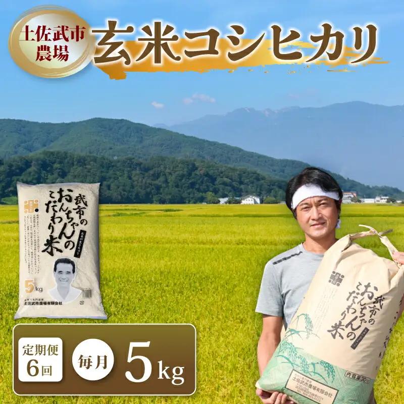 【玄米6回定期便】 令和7年度 玄米 コシヒカリ 数量限定 各5キロ 