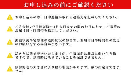 伊勢海老 約2kg(2~5尾)伊勢海老【kmgk0004】
