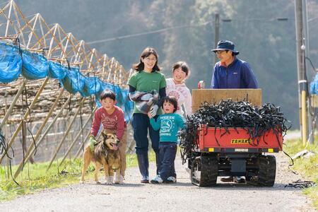 山口県産 冬のシャインマスカット1.2Kg(2~3房)