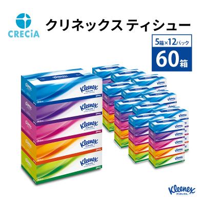 ふるさと納税 岩沼市 クリネックスティシュー( 5箱 × 12パック入り )ティッシュペーパー[No.5704-0182]