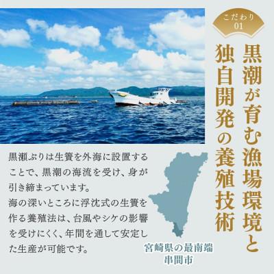 ふるさと納税 串間市 活じめ!黒瀬ぶりカマ(5枚入)(800g〜1.2kg前後) |  | 01