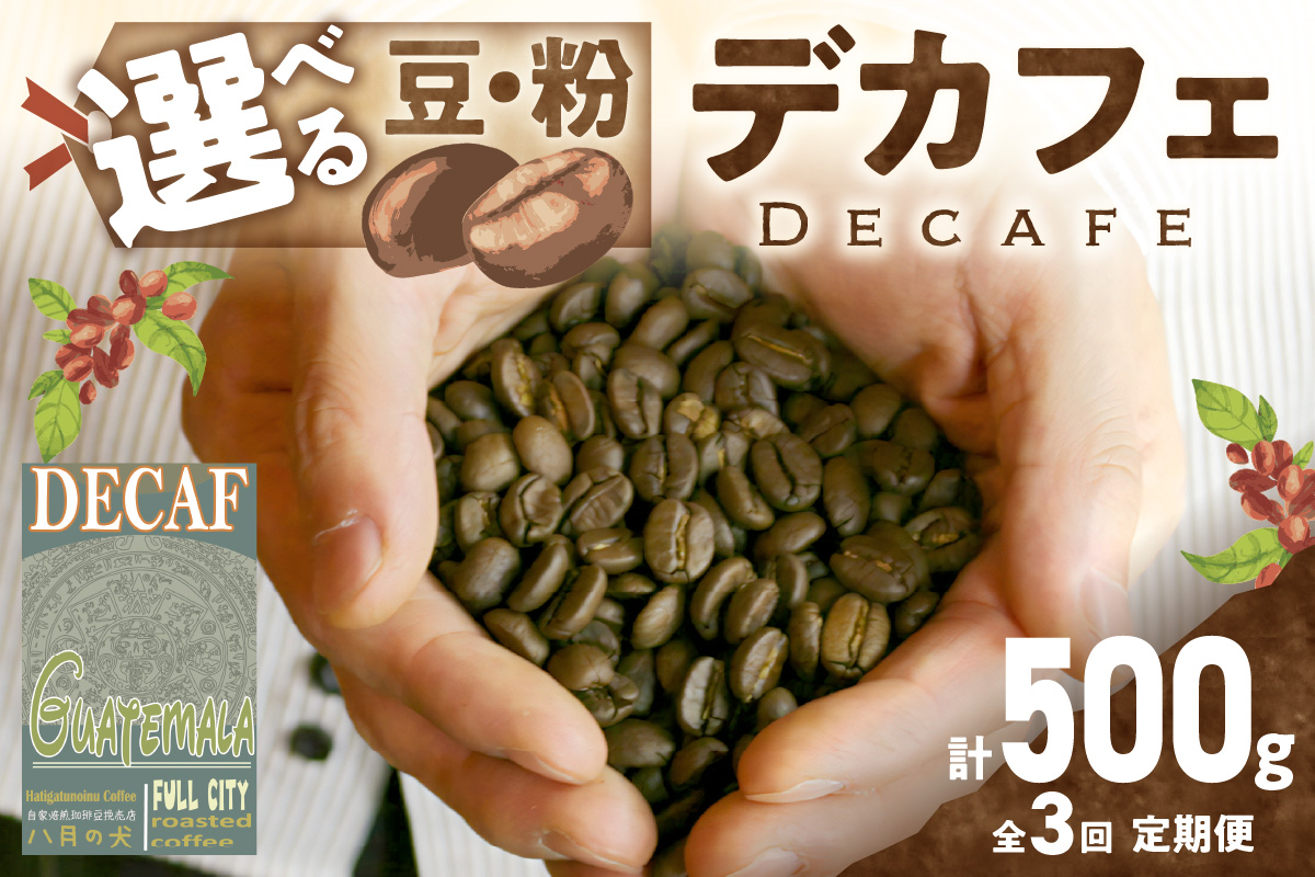 【定期便全3回】【デカフェ】自家焙煎　グアテマラ カフェインレスコーヒー豆 500g（250g×2）　2カ月に１回×3回お届け 八月の犬　珈琲豆　ドリップ　マタニティー 飲料 珈琲 こーひー コーヒー coffee