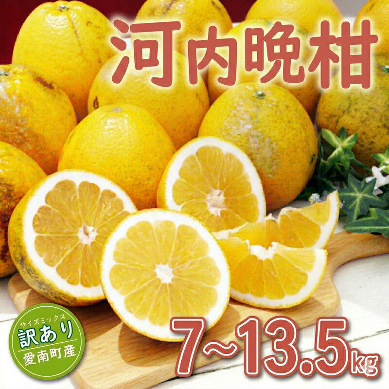 【ふるさと納税】 訳あり 河内晩柑 7kg 7000円 13.5kg 13000円 傷み保証500g みかん かわちばんかん 愛南ゴールド あいなん ゴールド 美生柑 グレープフルーツ 和製 家庭用 国産 特産 ゼリー ジュース フルーツ 果物 柑橘 蜜柑 規格外 愛南町 愛媛県 ミッチーのおみかん畑