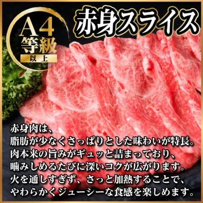 飛騨牛　厳選赤身スライス　500g A4〜A5等級　黒毛和牛 小分け【配送不可地域：離島】【1487343】