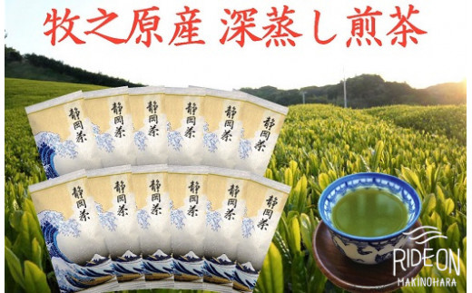 
098-12　牧之原産深蒸し煎茶「白富士」12本セット
