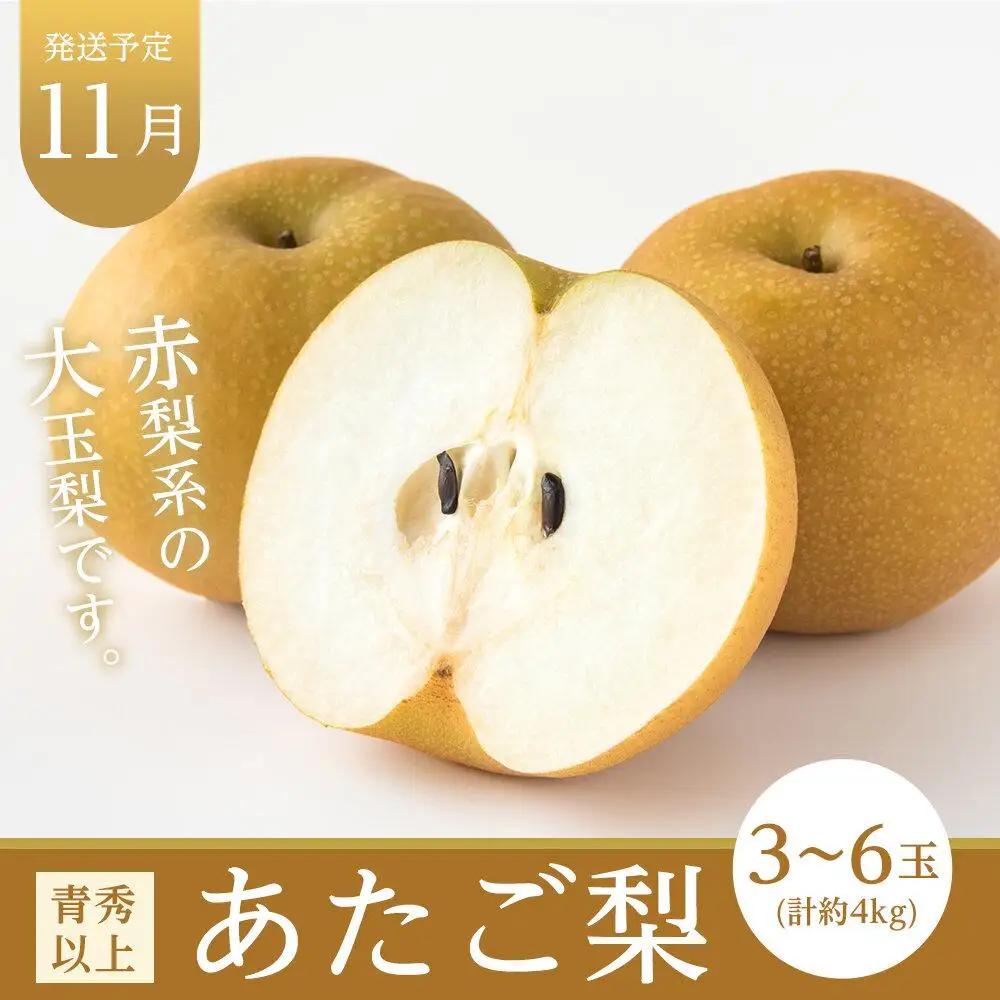 2026年  晴れの国 岡山県産 旬の フルーツ定期便 3回コース-(2) 桃 もも 葡萄 ぶどう 梨 なし セット ギフト | 桃