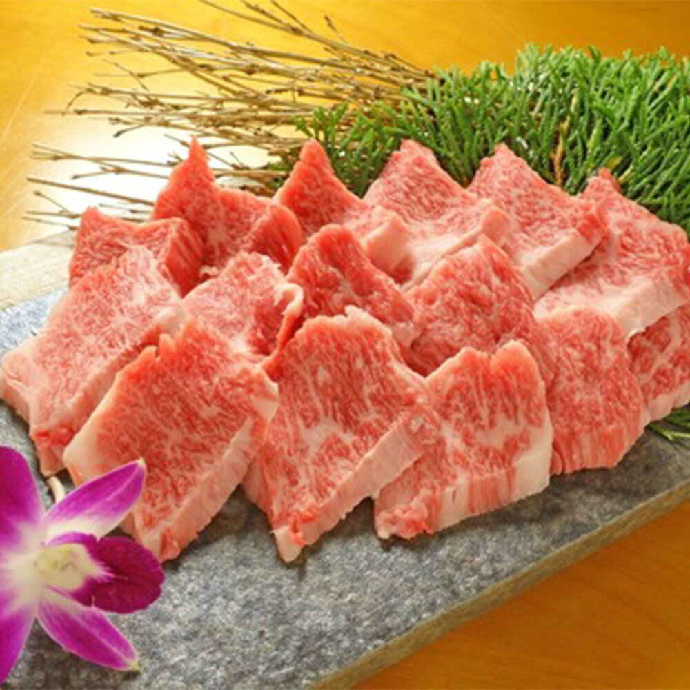 【ふるさと納税】あか牛 カルビ 焼き肉セット（あか牛バラカルビ 約400g） 熊本和牛 くまもとあか牛 赤牛 和牛 国産牛 牛肉 肉 お肉 牛バラ 焼肉 焼き肉 やきにく 冷凍 お取り寄せグルメ 国産 熊本県 送料無料