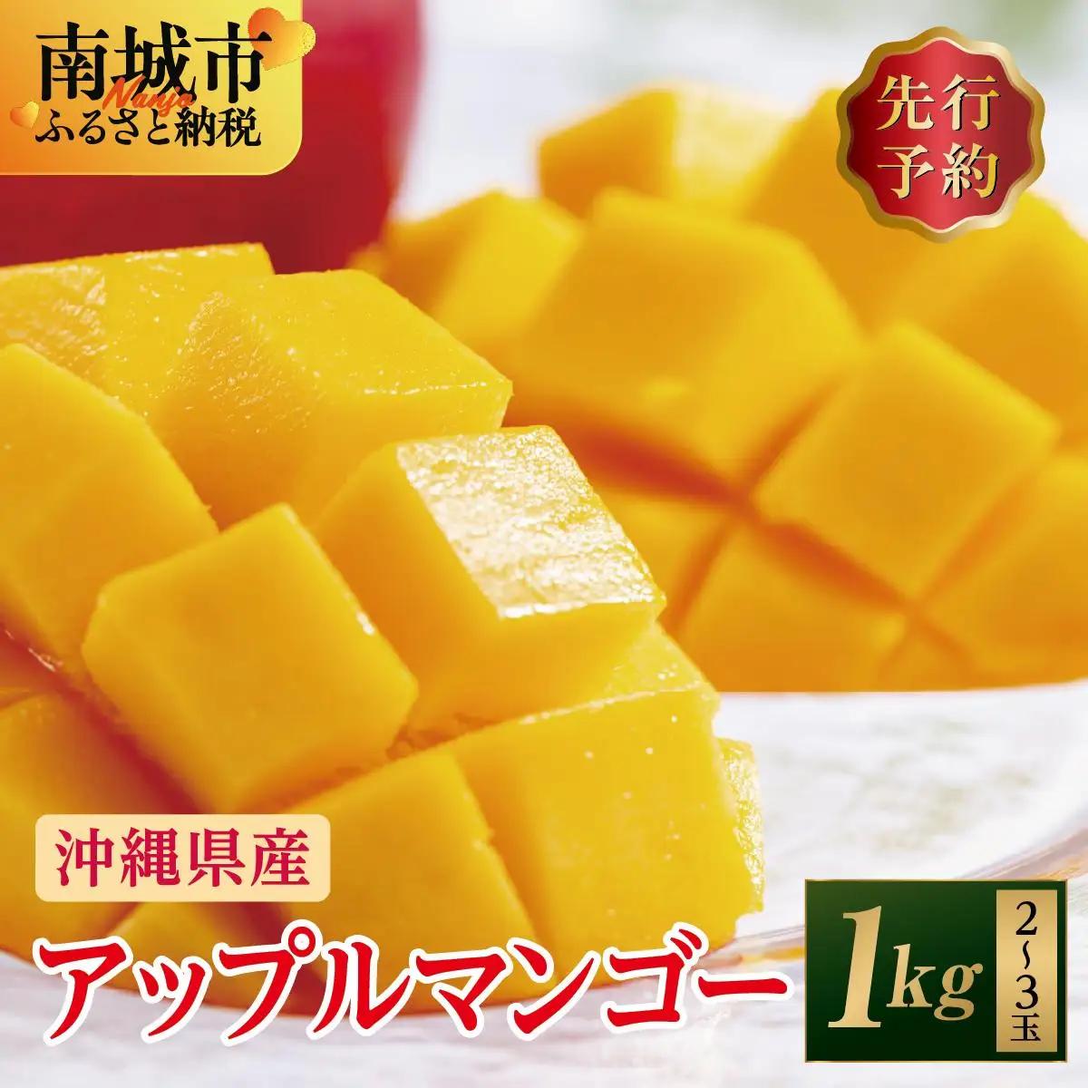 (先行受付)アップルマンゴー 南城市 約1kg (2～3玉)   