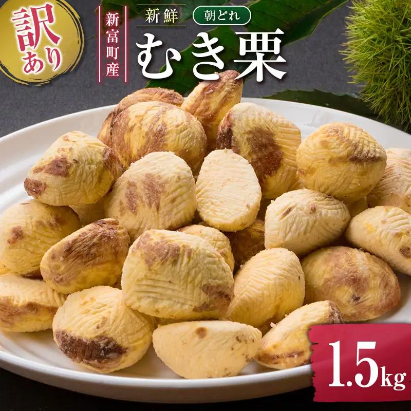 ＜2026出荷!!＞＜訳あり＞期間限定 国産 新鮮朝どれ（むき栗）1.5kg 産地直送 お取り寄せ 宝珠栗 宮崎県新富町産【C448-26】